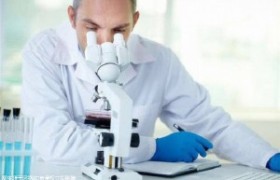 美国试管婴儿技术优势解析？美国试管婴儿的成功概率如何？