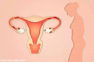 第三代试管的孩子比例是多少(做第三代试管婴儿可以生孩子吗)