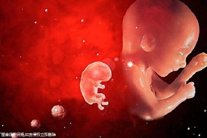 泰国试管婴儿费用会不会特别贵！泰国试管婴儿费用贵吗！