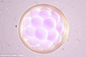 泰国的杰特宁医院试管婴儿费用多少？一代二代分别需要多少预算？